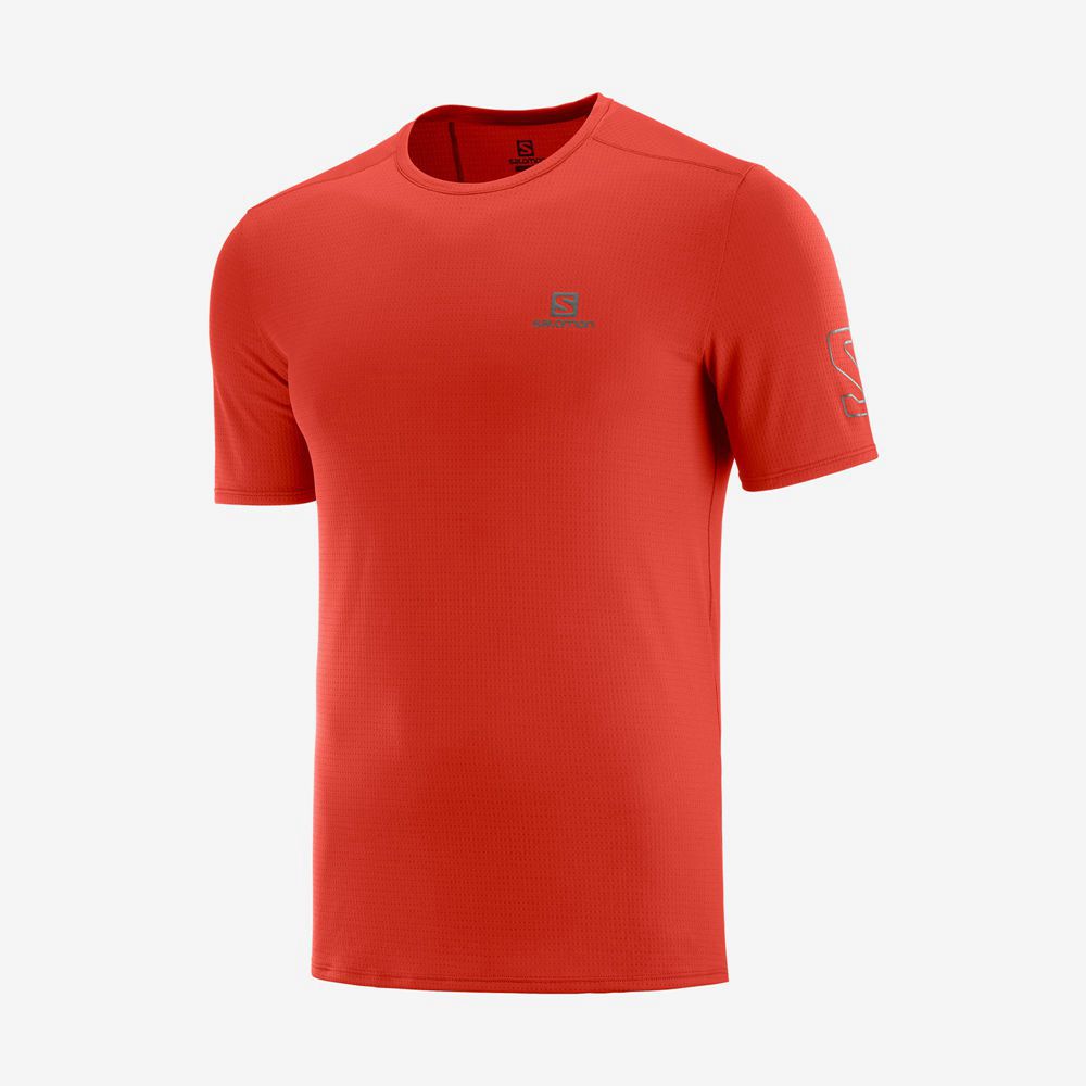 Camisetas Salomon Hombre Naranjas - Salomon Argentina XA TRAIL,857290-HXN